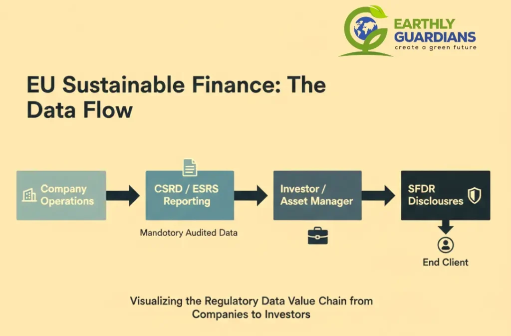 Flowchart by Earthly Guardians illustrating the data value chain from Company Operations and CSRD reporting to Investors and SFDR disclosures.